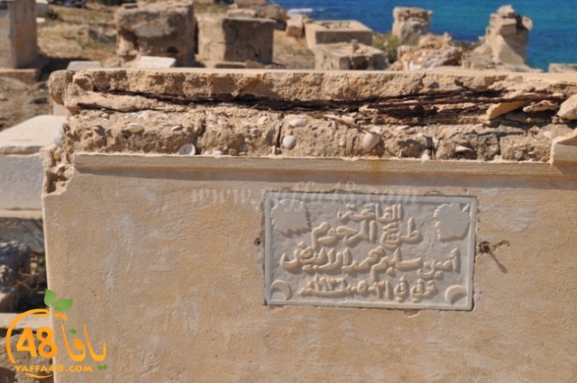 WhatsApp Image 2022-05-25 at 1.02.04 PM (1).jpg